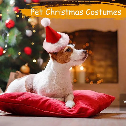 Adjustable Christmas Hat and Scarf for Dogs Up to 20kg