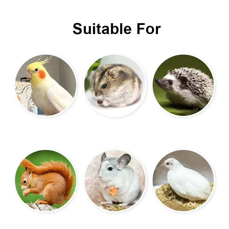 Detachable Transparent Parrot Feeding Bowl and Water Cup