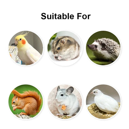 Detachable Transparent Parrot Feeding Bowl and Water Cup