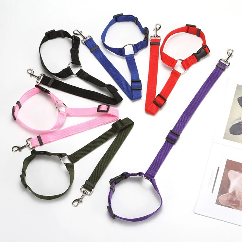 Adjustable Two-in-One Pet Car Seat Belt and Leash