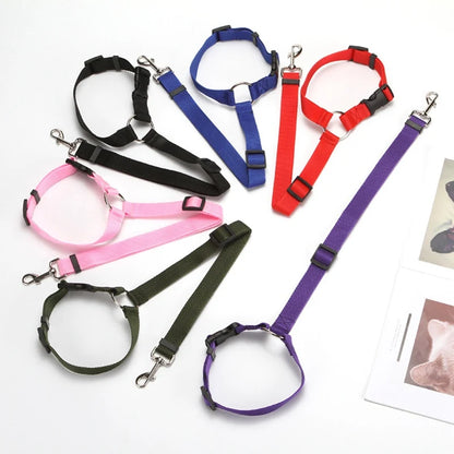 Adjustable Two-in-One Pet Car Seat Belt and Leash