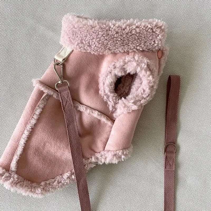 Chihuahua Sweatshirt Dress for Small Dogs and Pets