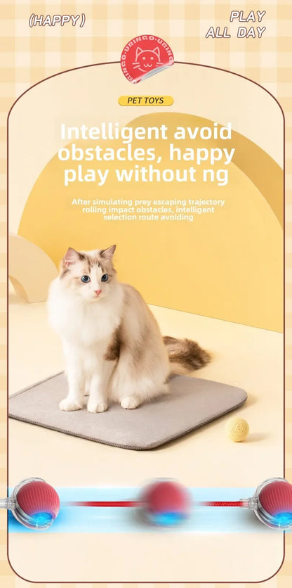 Rechargeable Electric Interactive Ball for Dogs and Cats