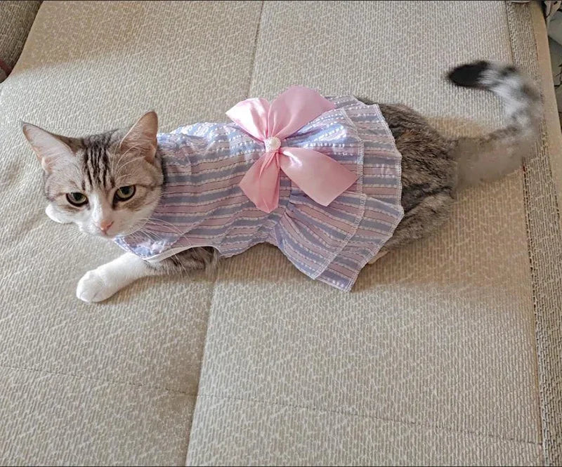 Striped Plaid Dress with Bow for Cats and Small Pets