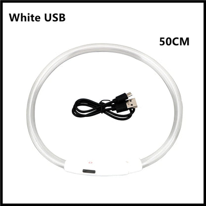 LED Glowing USB Rechargeable Pet Safety Collar for Dogs and Cats