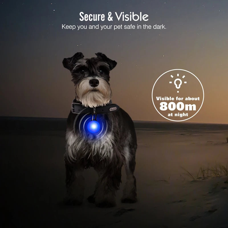 LED Light-Up Dog Collar for Night Safety - USB Rechargeable