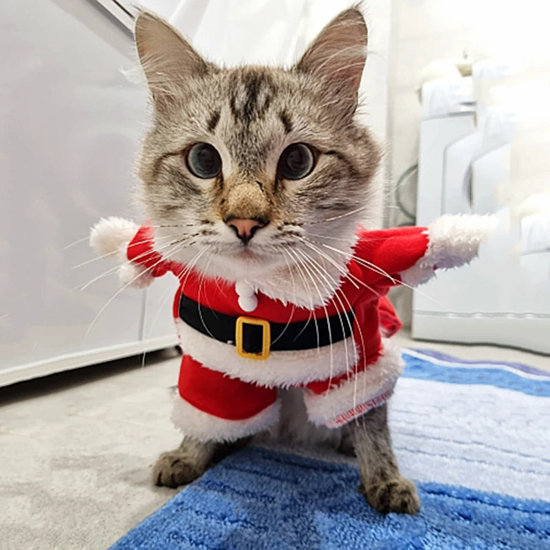 Christmas Cat and Dog Santa Costumes for Festive Parties