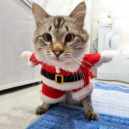 Christmas Cat and Dog Santa Costumes for Festive Parties