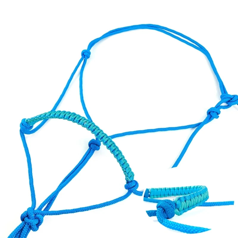 Horse Training Headstall with Leading Rope and Halter