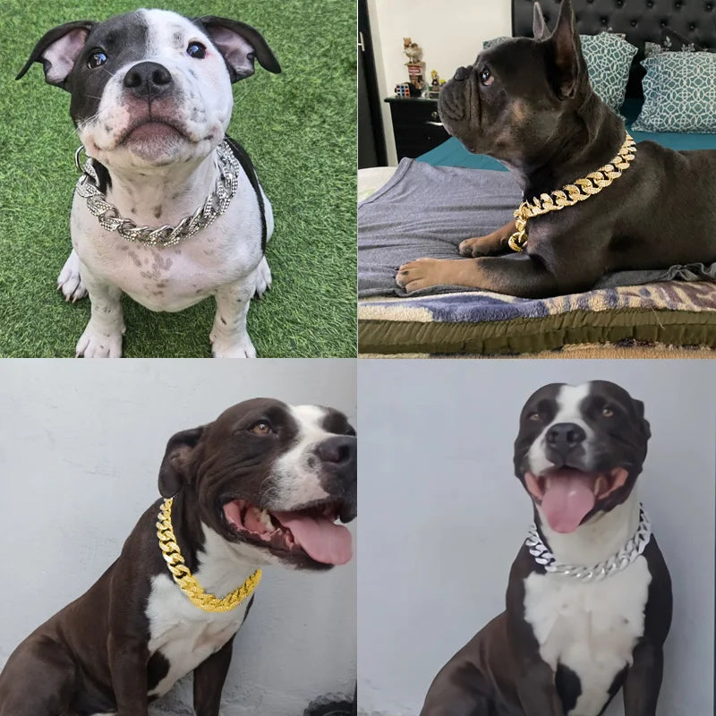 Diamond Inlay Dog Collar with Chain for Small to Large Dogs