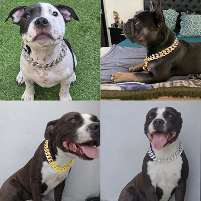 Diamond Inlay Dog Collar with Chain for Small to Large Dogs