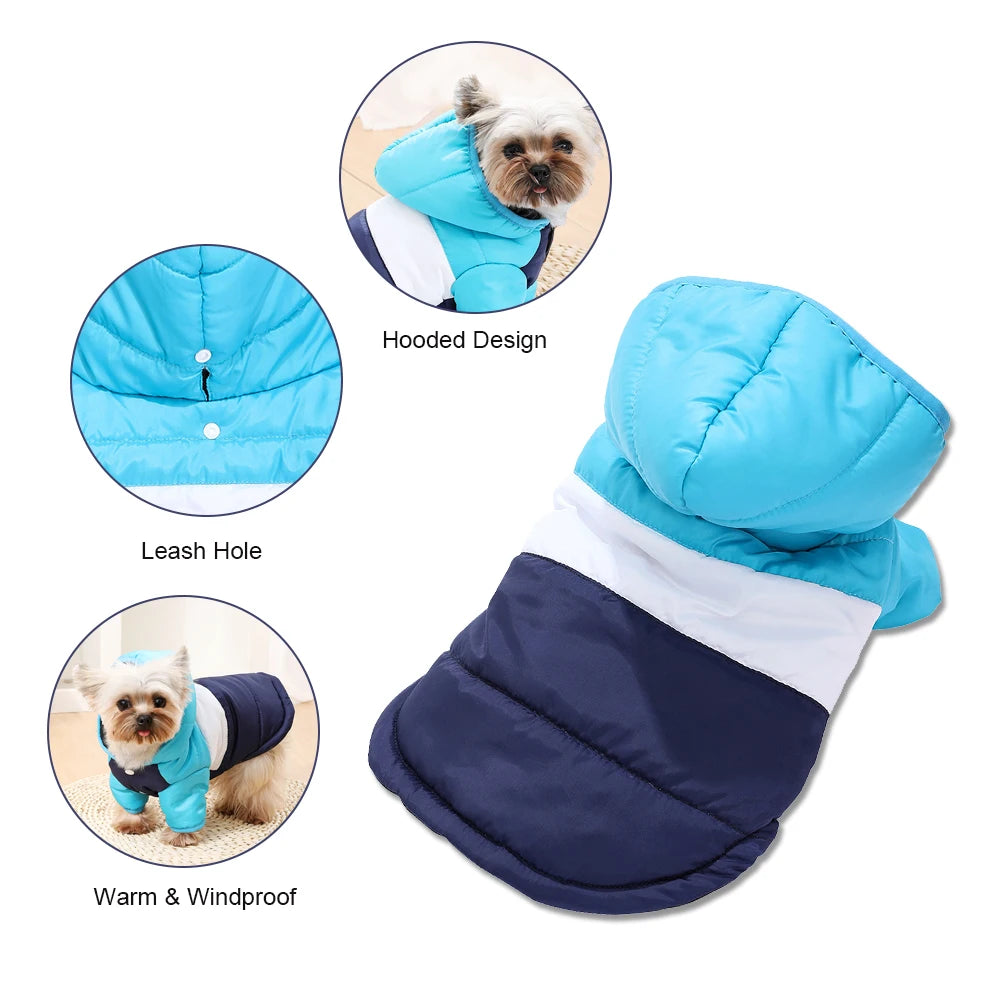Waterproof Windproof Dog Hoodie for Small Dogs and Cats
