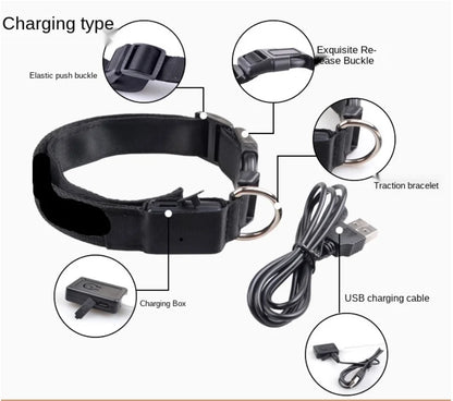 LED Glowing USB Rechargeable Pet Safety Collar for Dogs and Cats