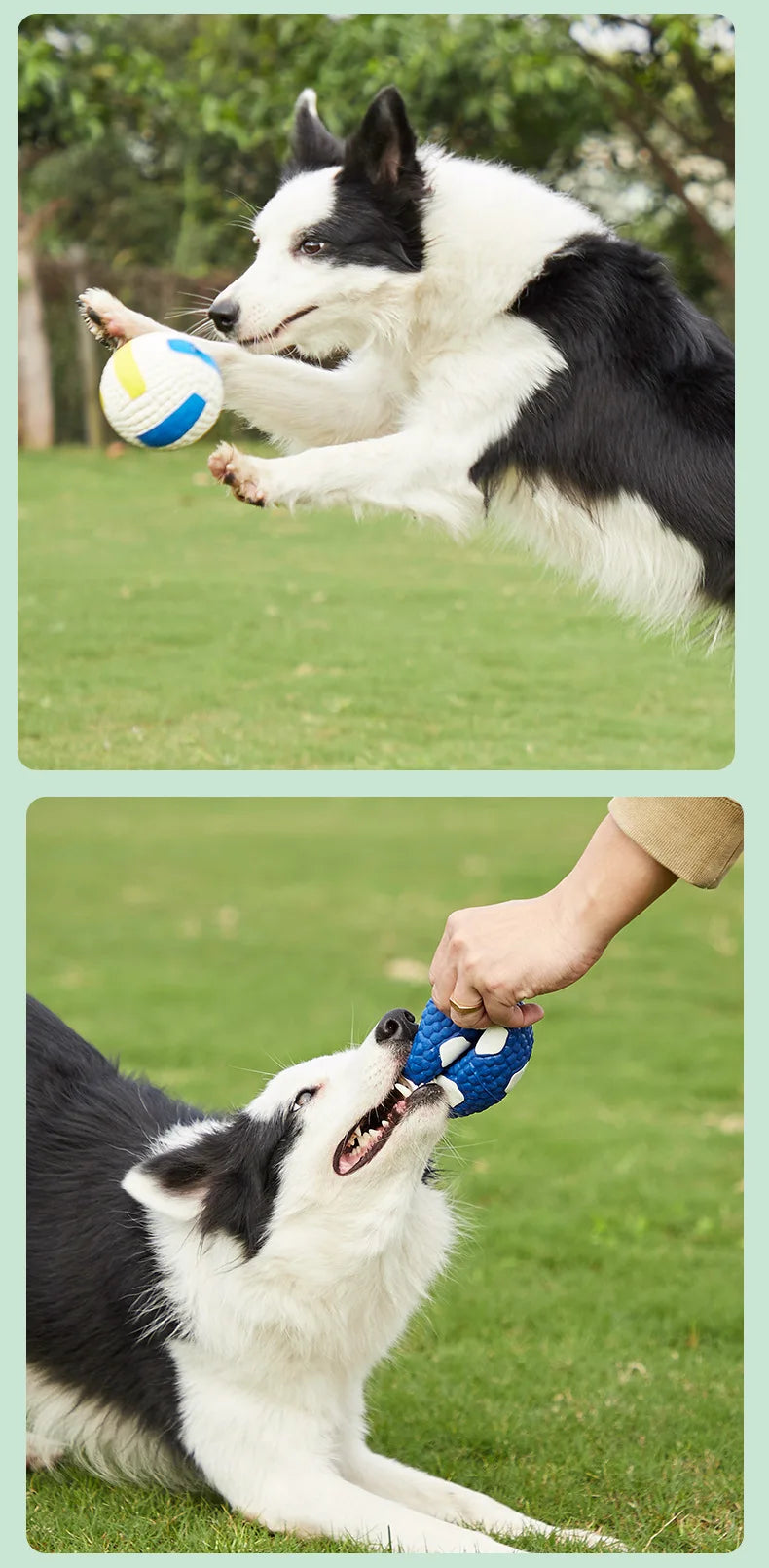 Natural Latex Dog Balls for Small to Large Dogs