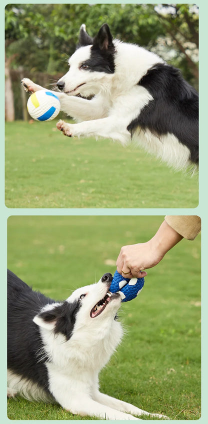 Natural Latex Dog Balls for Small to Large Dogs