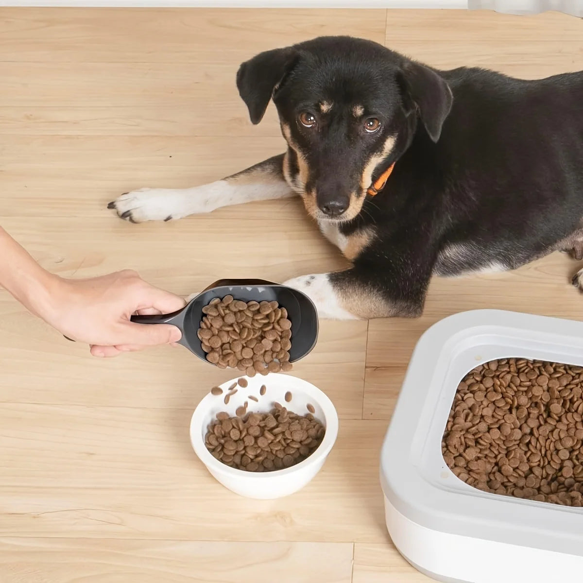 Large Capacity Pet Food Scoop for Cats and Dogs