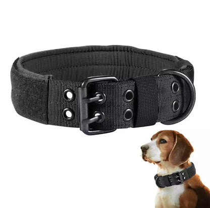 Reflective Heavy-Duty Nylon Dog Collar for Training