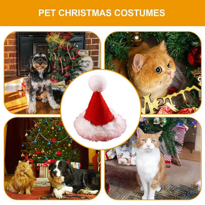 Adjustable Christmas Hat and Scarf for Dogs Up to 20kg
