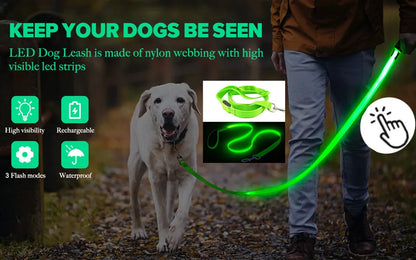 LED Glowing USB Rechargeable Pet Safety Collar for Dogs and Cats