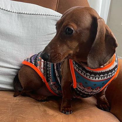 Summer Vest for Small Dogs and Puppies - Lightweight Pet Clothing