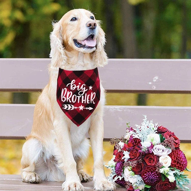Big Brother Plaid Dog Bandana for Pregnancy Announcements