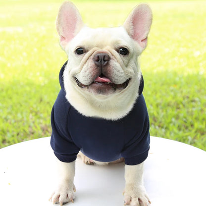 Warm Hooded Sweater for Small Dogs - Autumn & Winter Wear