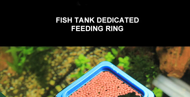 Portable Fish Feeding Ring with Suction Cups for Aquariums