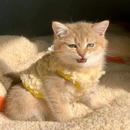 Warm Velvet Sweater for Small Pets and Kittens