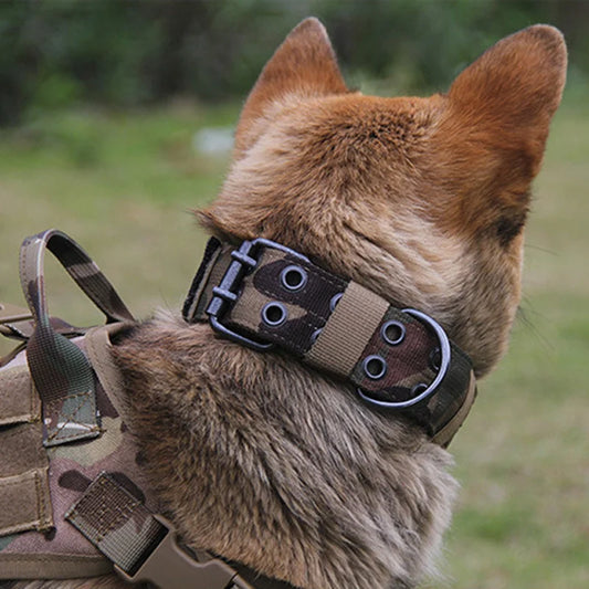 Reflective Heavy-Duty Nylon Dog Collar for Training