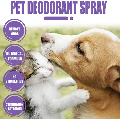 Lavender Oil Pet Deodorizer Spray for Dogs and Cats