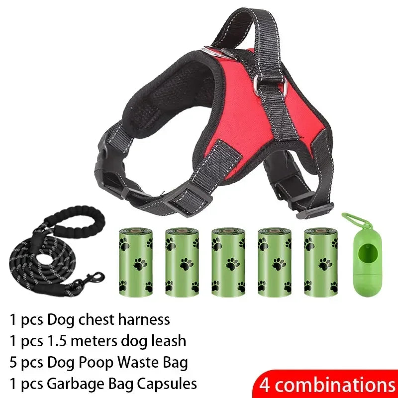 Adjustable Dog Harness and Leash Set for Small to Medium Dogs