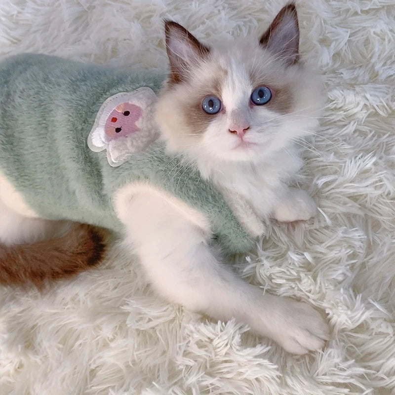 Cozy Winter Clothes for Small Cats and Dogs