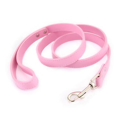 Colorful Leather Leashes for Small to Large Dogs and Cats