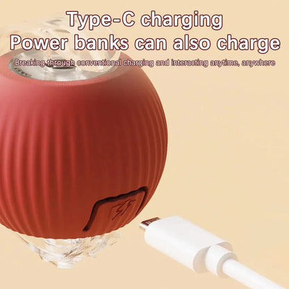 Rechargeable Interactive Cat Ball Toy with Faux Tail