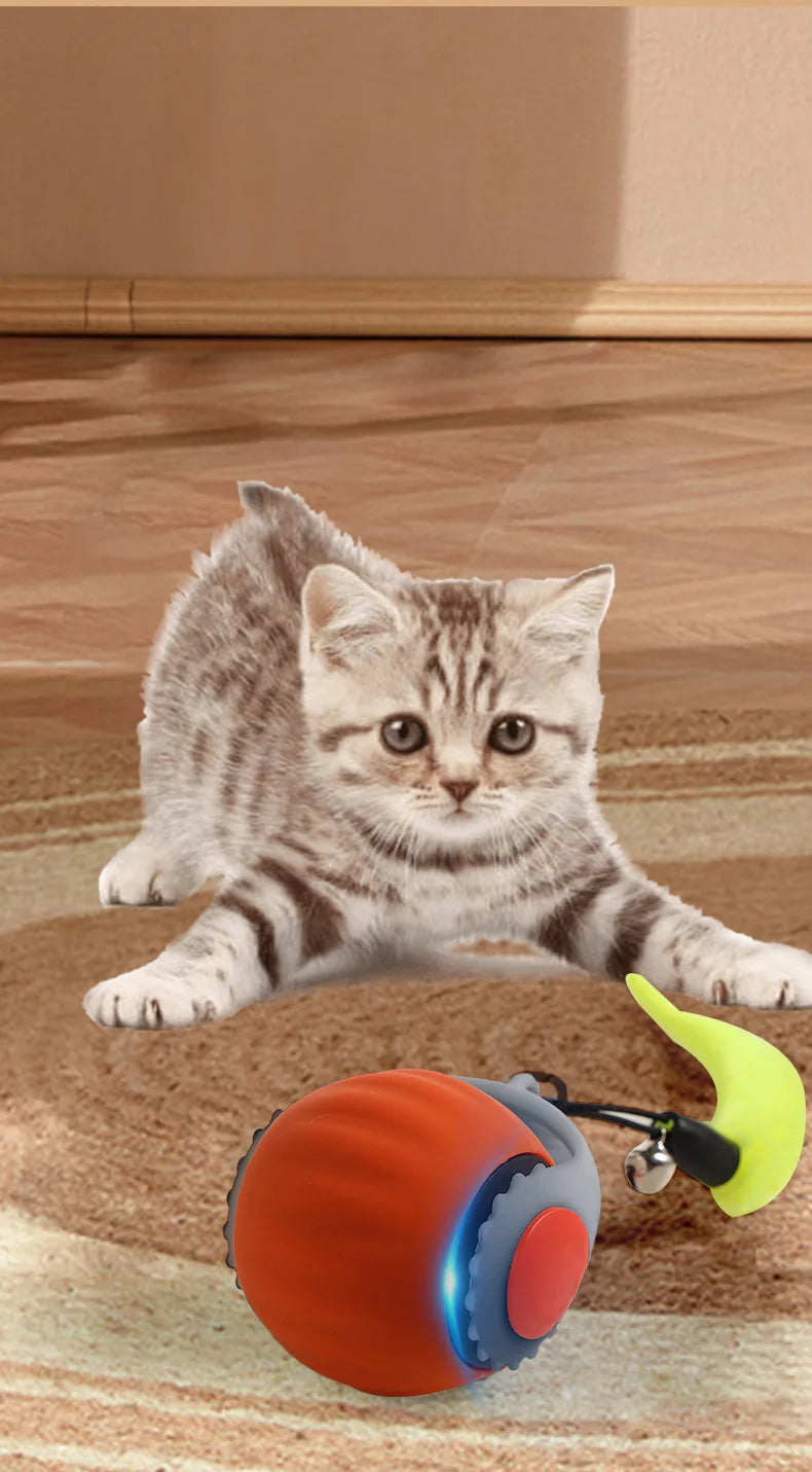 Rechargeable Interactive Cat Ball Toy with Faux Tail
