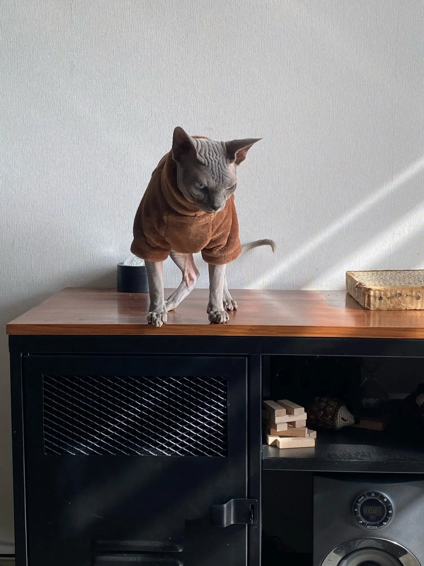 Sphynx Cat Sweater and Hoodie Outfit for Pets