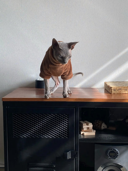 Sphynx Cat Sweater and Hoodie Outfit for Pets