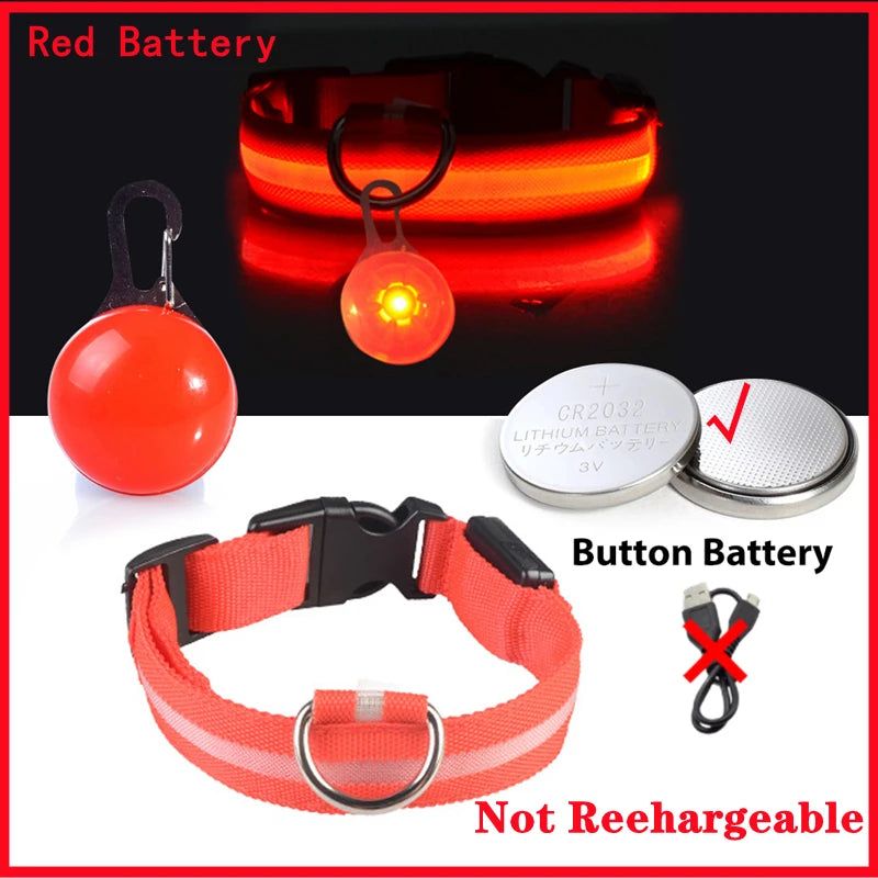 LED Light-Up Dog Collar for Night Safety - USB Rechargeable