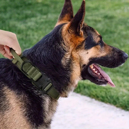 Tactical Dog Collar with Handle for Medium and Large Dogs