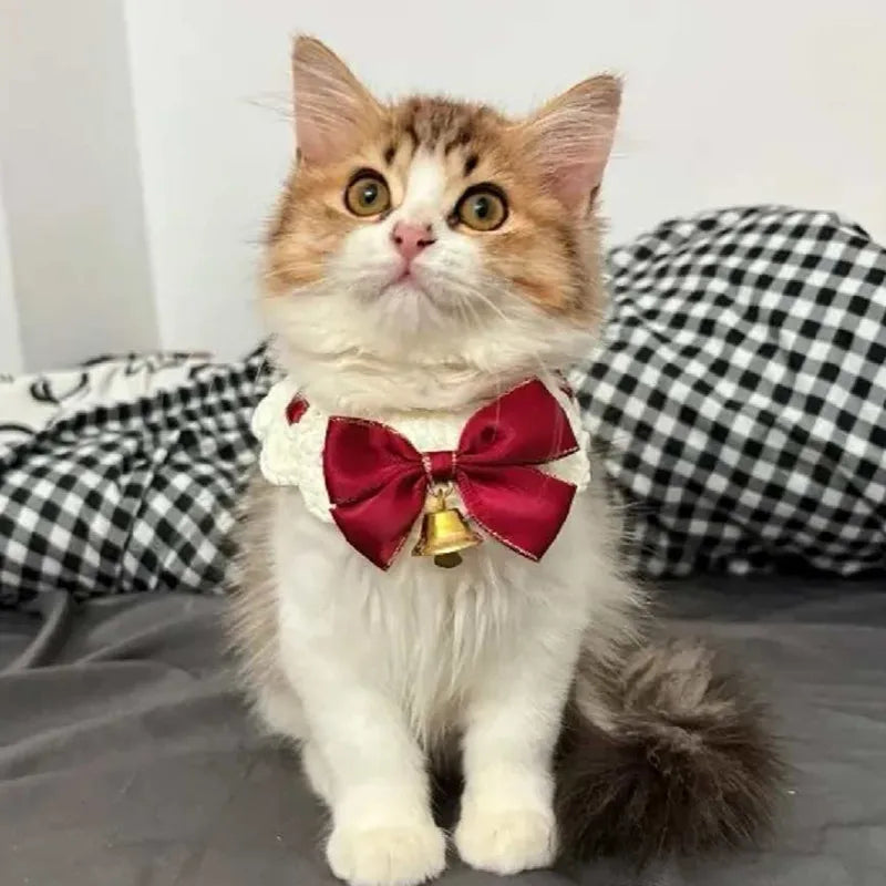 Festive Cat Scarf with Bell Necklace for Holiday Photoshoots