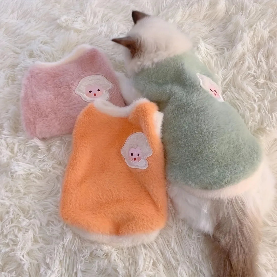 Cozy Winter Clothes for Small Cats and Dogs