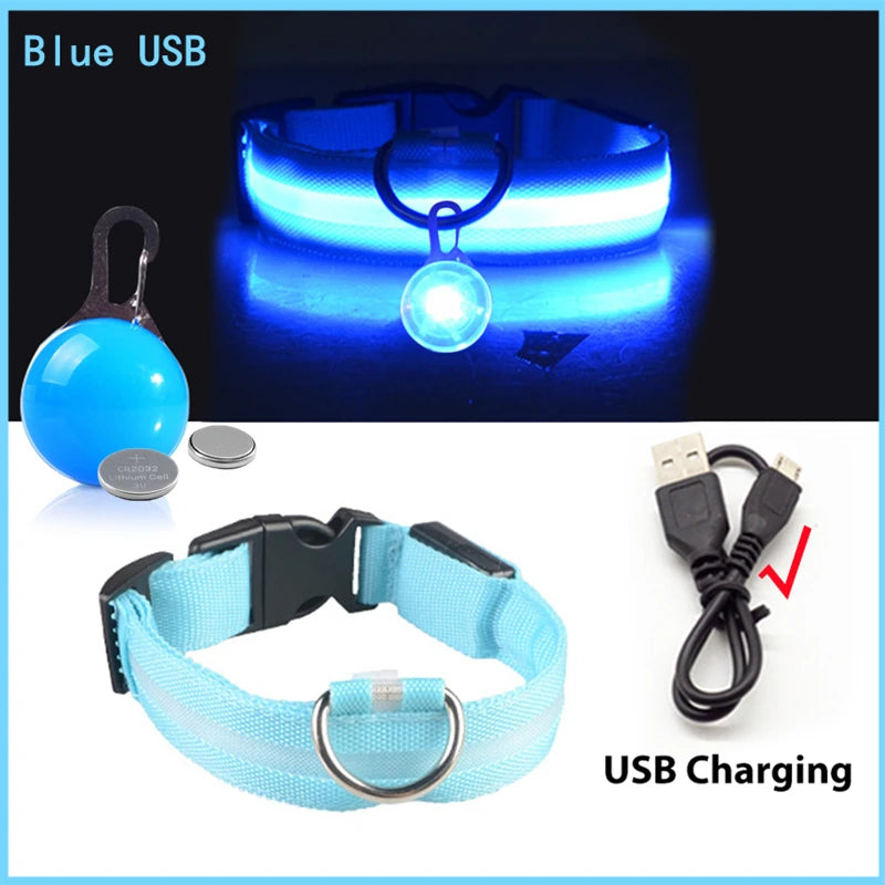 LED Light-Up Dog Collar for Night Safety - USB Rechargeable