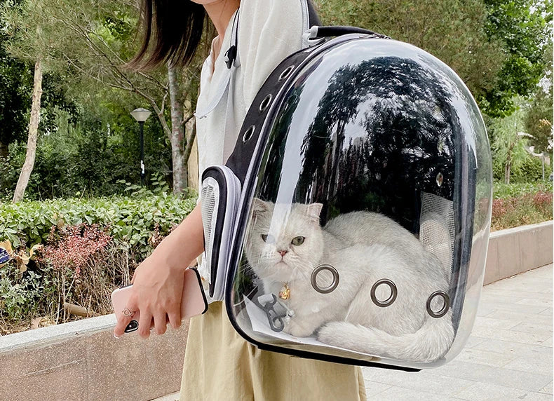Breathable Cat and Dog Carrier Backpack for Travel