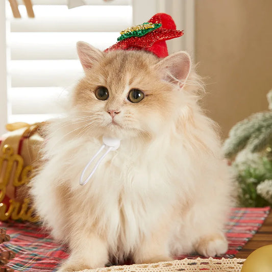 Christmas Hat and Scarf Set for Dogs and Cats