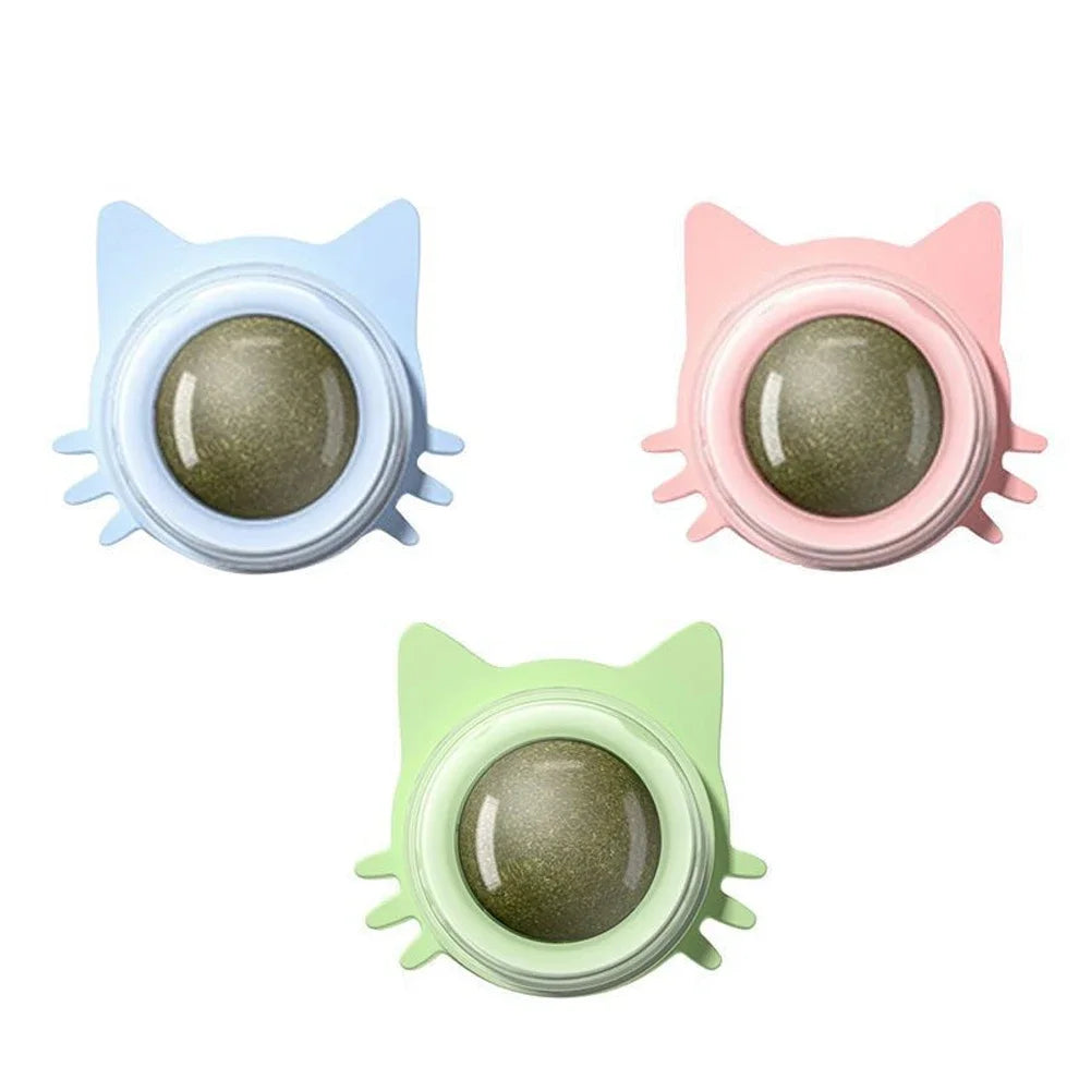 Catnip Lollipop Treat for Dental Care and Fresh Breath
