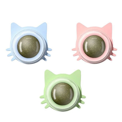 Catnip Lollipop Treat for Dental Care and Fresh Breath