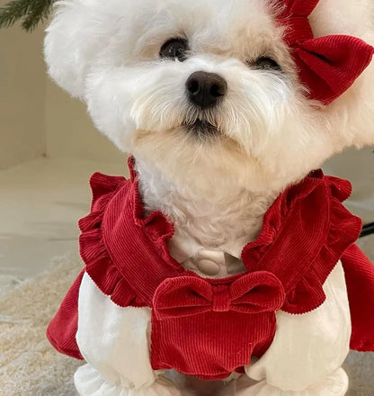 Winter Warm Dog Dress Set with Bow Knot for Small Breeds