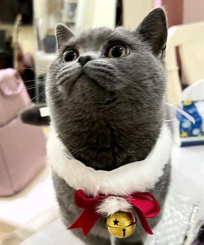 Festive Cat Scarf with Bell Necklace for Holiday Photoshoots