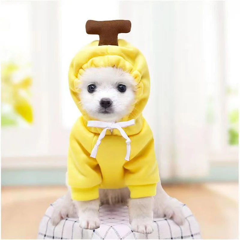 Funny Dog Hoodie Costume with Hat for Pets