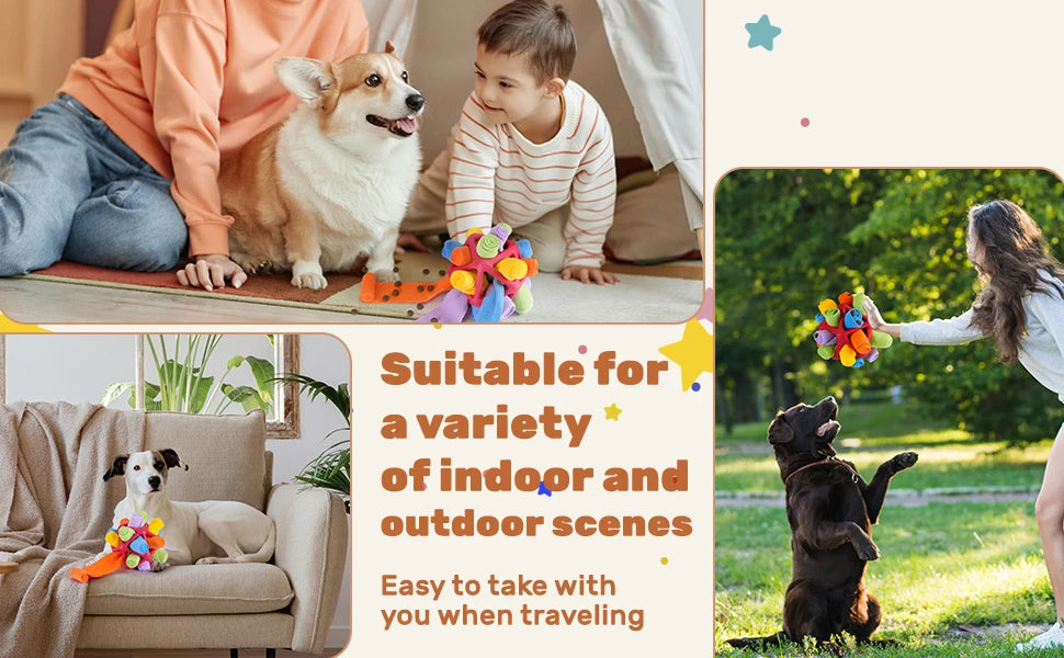 Sniffing Ball for Dogs - Chew and Training Toy